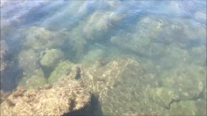 1 июля в Архипо-Осиповке / Чистая вода - аж страшно плавать / Дикий пляж / Волшебные звуки курорта