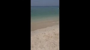 Полный обзор отеля Ramada Beach Ajman 4* OAE #oae #ajman #ramada #dubai #covid-19 #оаэ #рамад