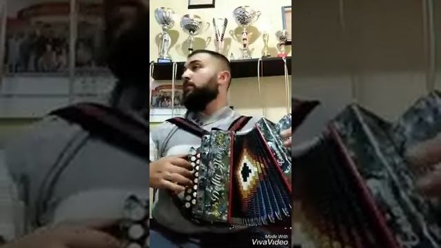 "IL RISVEGLIO" Mazurka (Gabriele Di Pietro) Organetto Nicandro Iannacone смотреть онлайн