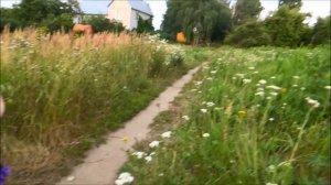 Как правильно запускать Божью Коровку