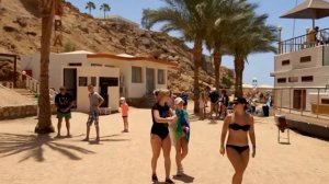Пляж Загораем 😎🌴 Обзор ч.3 Albatros Beach 4* Sharm El Sheih Альбатрос Бич Резорт 2021 г.