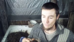 Вешенка на Листьях Эксперимент Посев Мицелия на Субстрат из Листьев с Соломой Ответы на вопросы ч.7