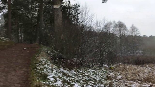 0013 1080р Стаб 60fps (камера Poco X3) смотреть онлайн