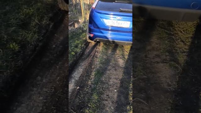 Focus ST выхлоп Акрапович :)