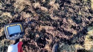 Металлоискатель TX850 и большая катушка 33см