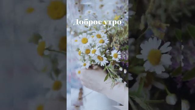 Красивое пожелание доброго утра.