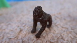 Элли и Покойо. Животные в ЗООПАРКЕ. Развивающие видео для детей.