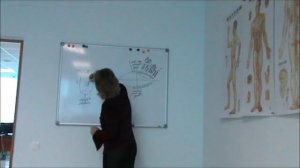 Ваш язык расскажет вам о внутренних органах.