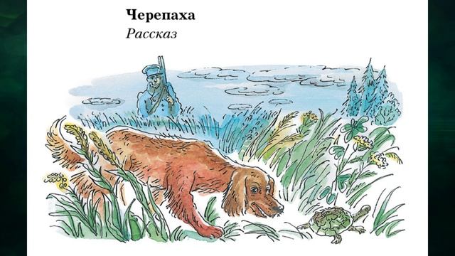 Л. Толстой "Черепаха"