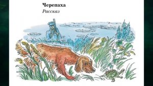 Л. Толстой "Черепаха"