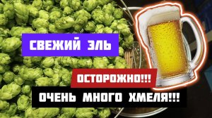 Взрывной рецепт пива.Столько хмеля в пиве я еще не видел.