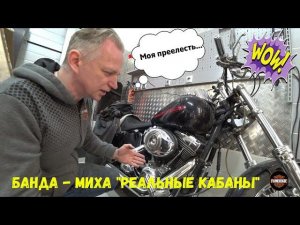 Банда | Миха «Реальные Кабаны»