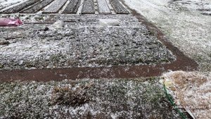 Хозяйство Воронова | Огород | Только мы сняли с грядок утеплитель и неожиданно пошёл град