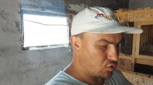 Навели порядок, будем пробовать ещё вывести. Ромашка заболела.