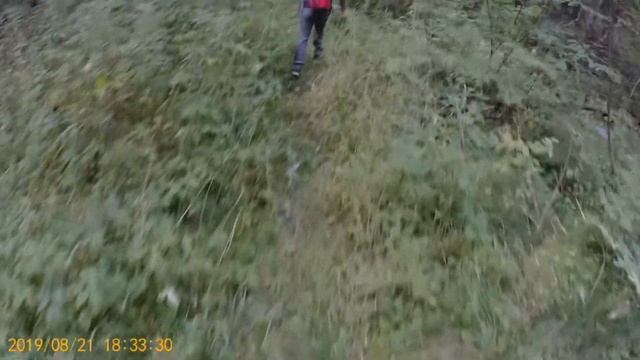 Сталк часть 2 смотреть онлайн