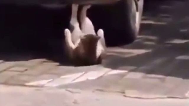 фитнес