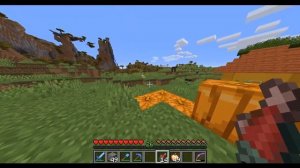 Как приручить кошку в майнкрафт ?