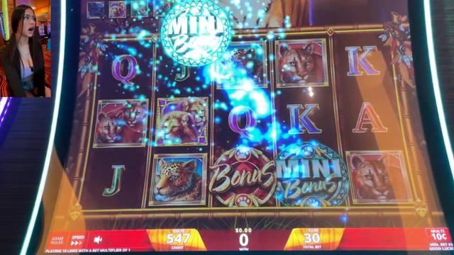 Honey makes cats BARK!😻😽 смотреть онлайн