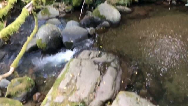 Грузия  (part#1) Батуми (Аджария)