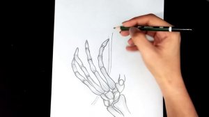 How To Draw A Skeleton Hand Holding A Rose