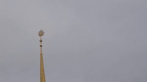 Canon RP + Canon EF-S 55-250mm f/4-5.6 IS II тест объектива 4К