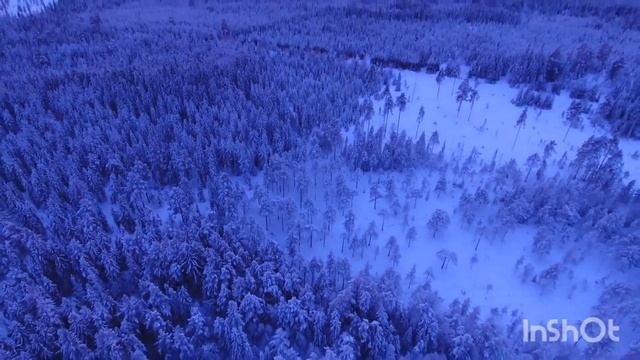 Музыка для сна ? 2023!!! Зимняя атмосфера❄️❄️❄️ смотреть онлайн