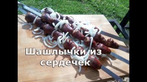 Шашлыки из сердец индейки. Сердечки индейки на углях. Простой и вкусный рецепт.