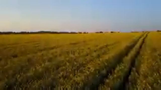 Music for Meditation, Yoga, Tai Chi and Qi Gong смотреть онлайн