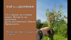 Дымянка лекарственная ( Fumaria officinalis)