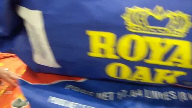 914. Все для пикника вo дворе. Иммиграция Канада. смотреть онлайн