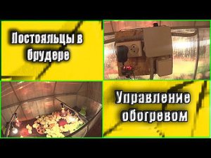 Брудер для цыплят  Управление обогревом в брудере