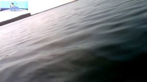 Рыбалка на рыбинском водохранилище видео