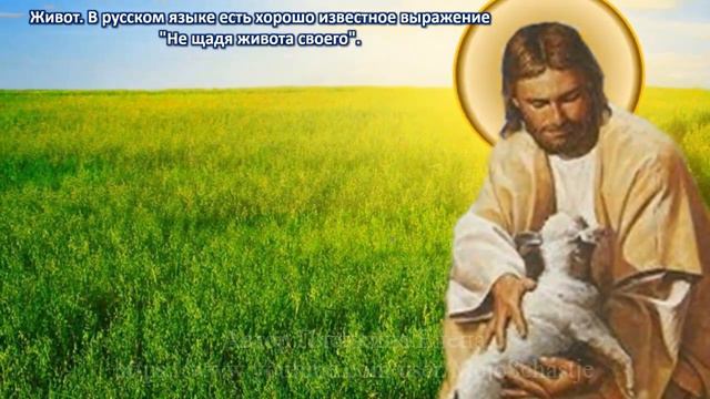 Неожиданные толкования православием знакомых слов. Неделя. Целомудрие. Живот. Утешение. Vocabulary