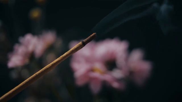 После этой истории я всегда проверяю замки на ночь. Страшная история смотреть онлайн