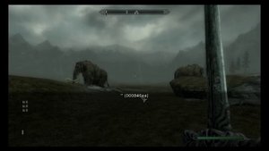 Подробная инструкция о том как убить любого персонажа в  Skyrim