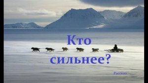 Кто сильнее?.. (рассказ)