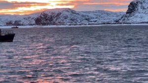 Киты на Териберке. Мурманск. Северное сияние.