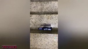 Bottle Rolling Down Stairs ASMR ? TikTok Compilation #3