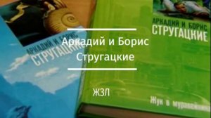 История Оренбургской области. Аркадий и Борис Стругацкие