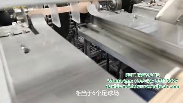 disposable wooden cutlery producing plant/futurewood