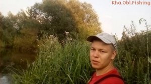 Рыбалка. Ловля карася в траве на поплавочную удочку.