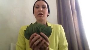 Чай с саусеп, гравиола, гуанабана