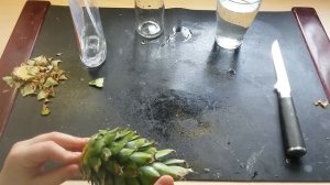 Как посадить ананас в домашних условиях????