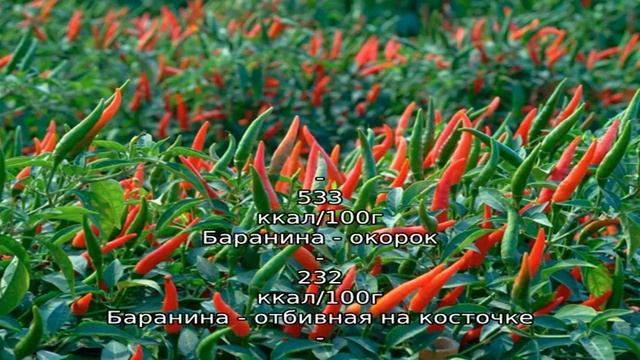 Баранина с картошкой по-казахски Кыурдак смотреть онлайн