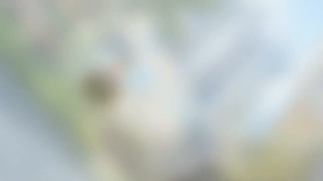 Поздравление с Днем предпринимателя!