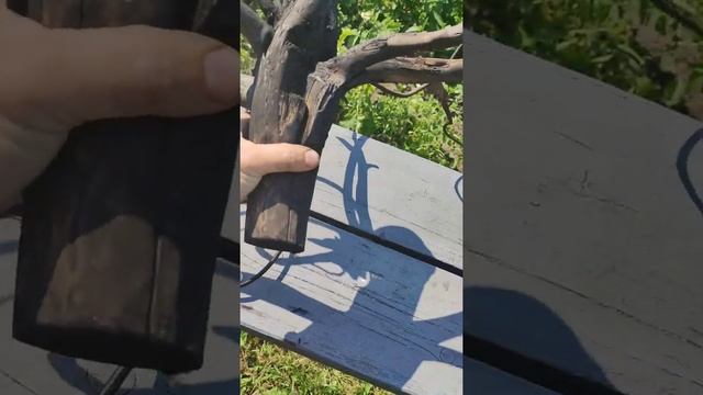 Показываю как сделать стильную люстру из корня дерева) смотреть онлайн