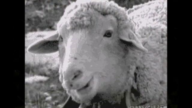 Настеньке 1,5 годика Поздравляем! смотреть онлайн