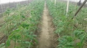 Супер экономичное Отопление для теплиц,