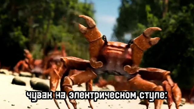 *во всём мире отключают электричество*