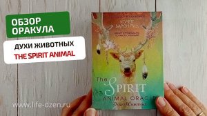 Обзор Оракула Духи Животных, The Spirit Animal Oracle, издательство Эксмо